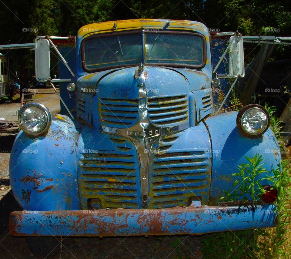 Rusty Old Dodge pick up truck