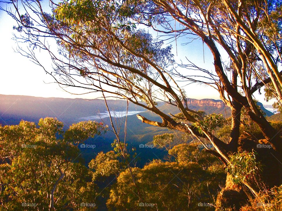 Blue Mountains, Australia 