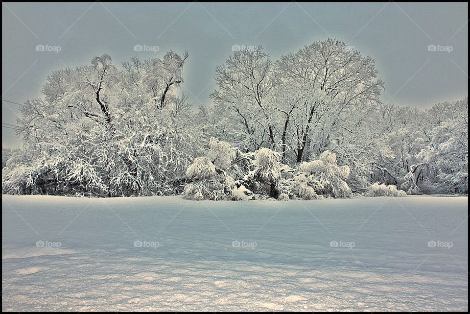 Winter snow