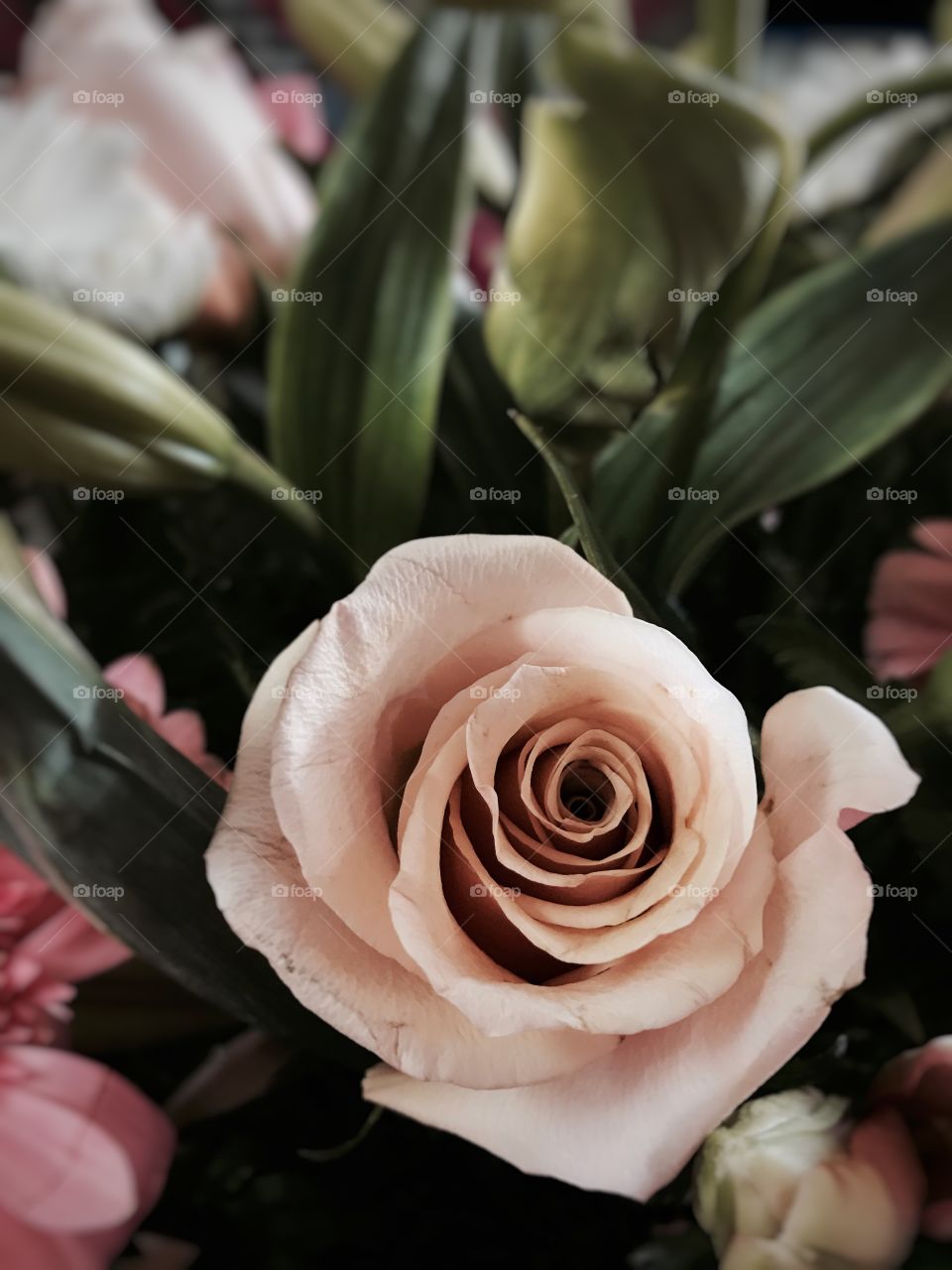 Beautiful bouquet #roses #wedding #petals