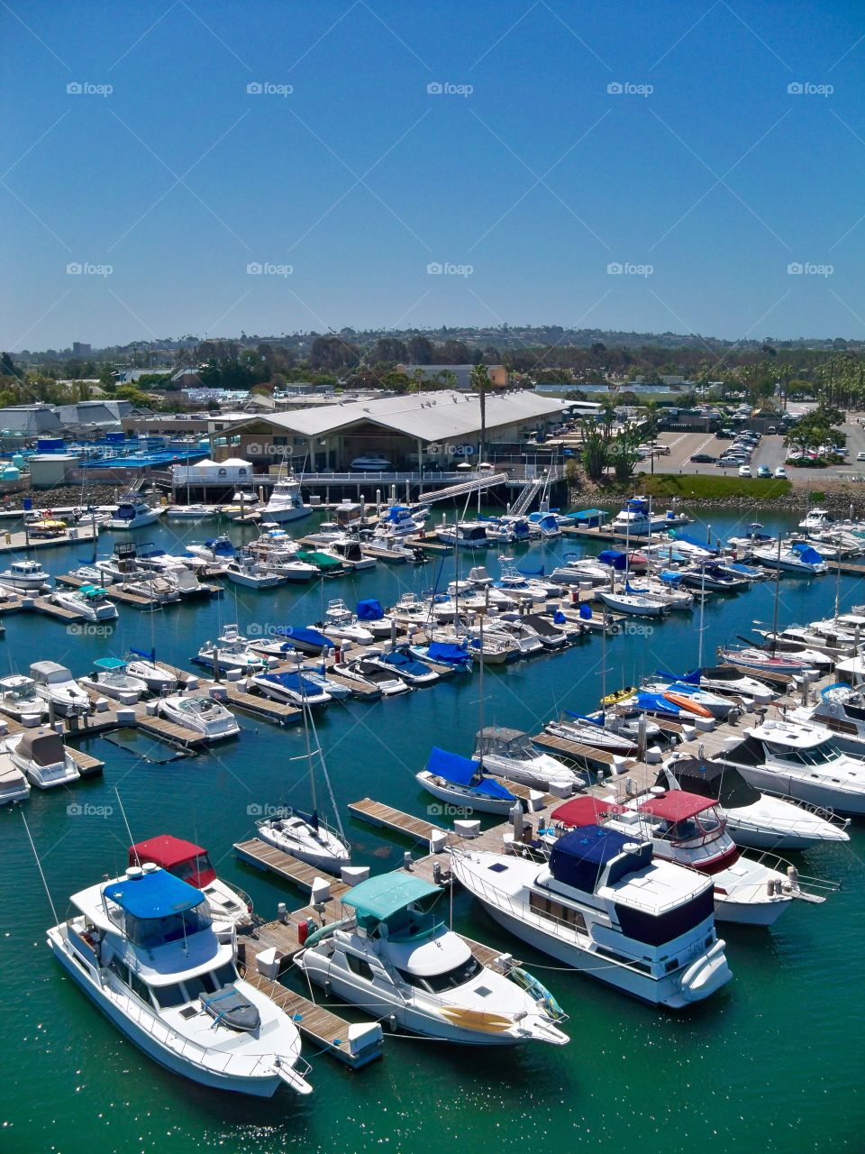 Boats in San Diego 