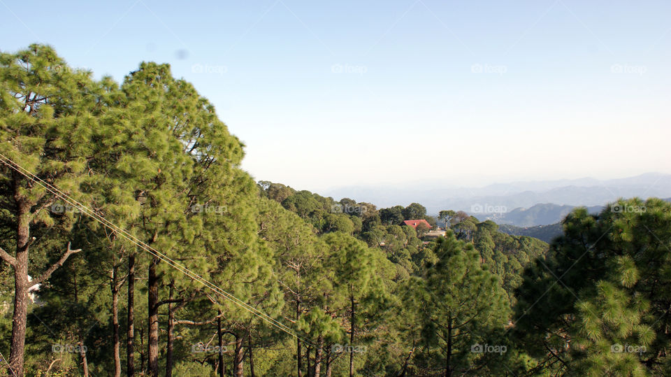 The hills always have a mystery and calm to their appearance.