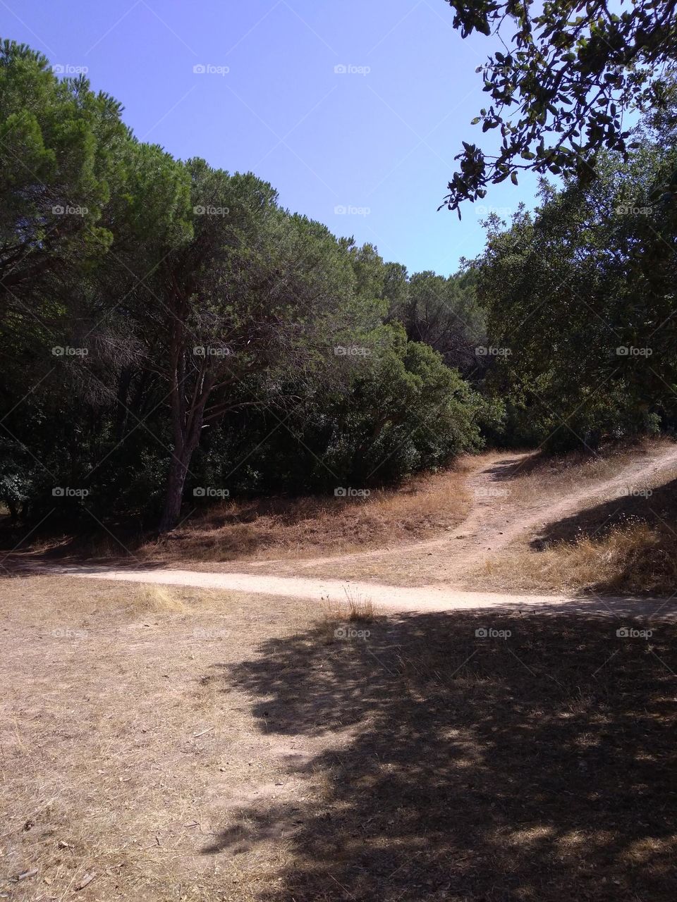 Best of 2021: Nature