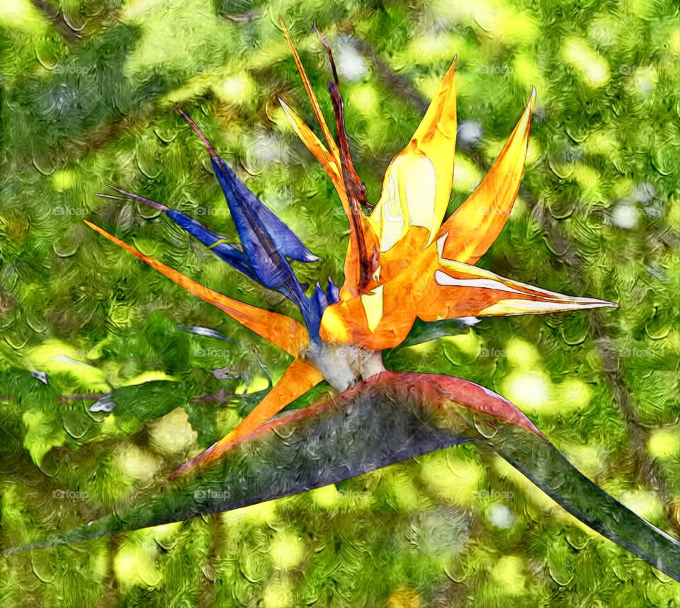 A digital oil painting of a bird of paradise flower.