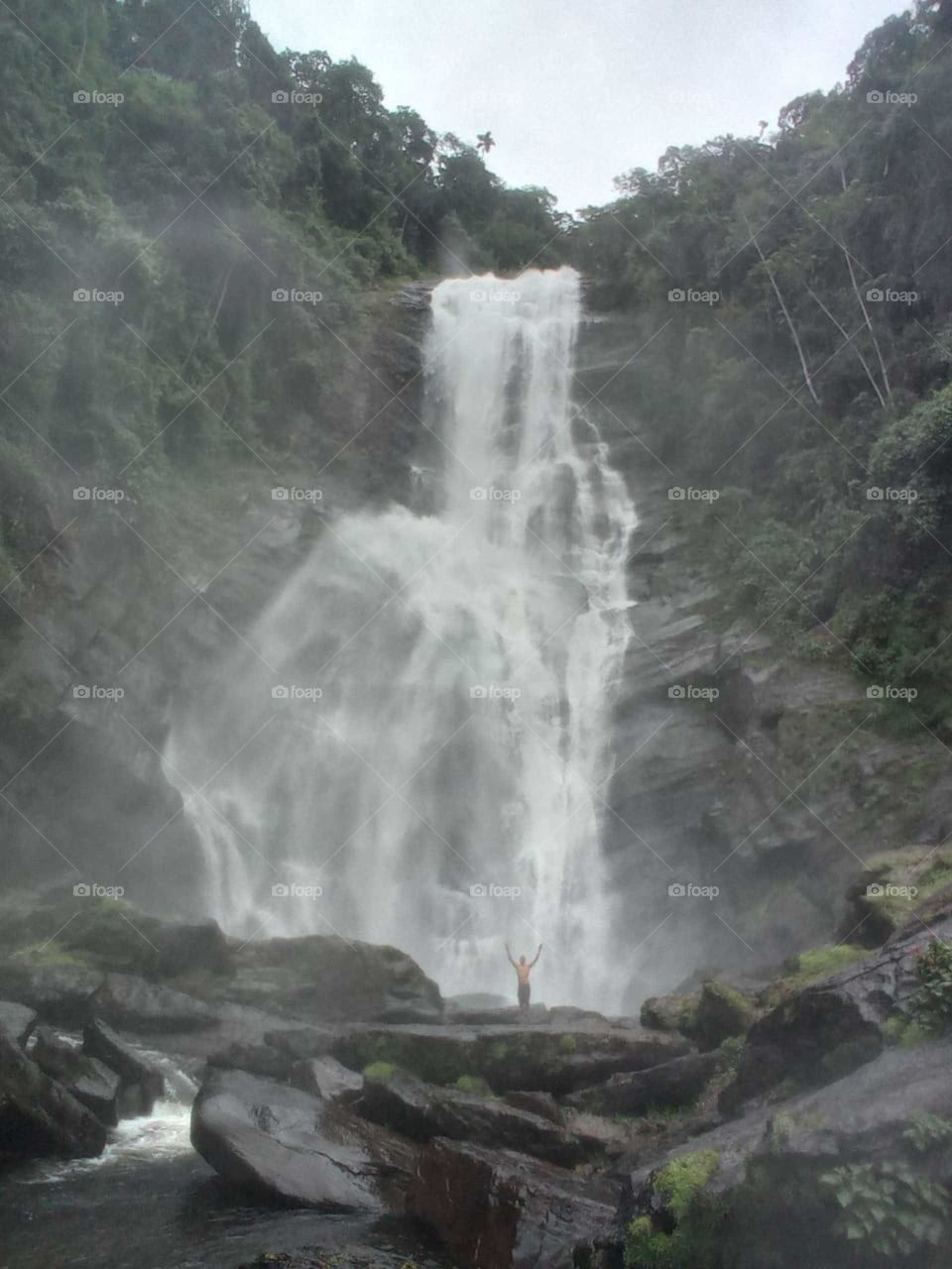 Parque Nacional da Serra da Bocaina,trilha do Ouro 