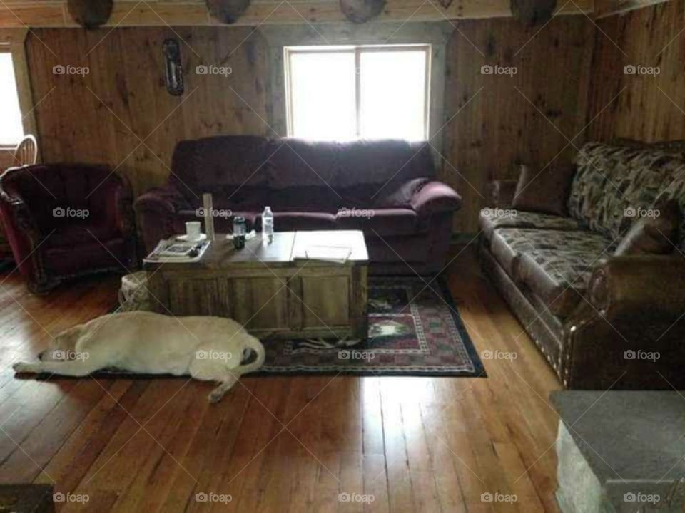 The calm of the cabin.