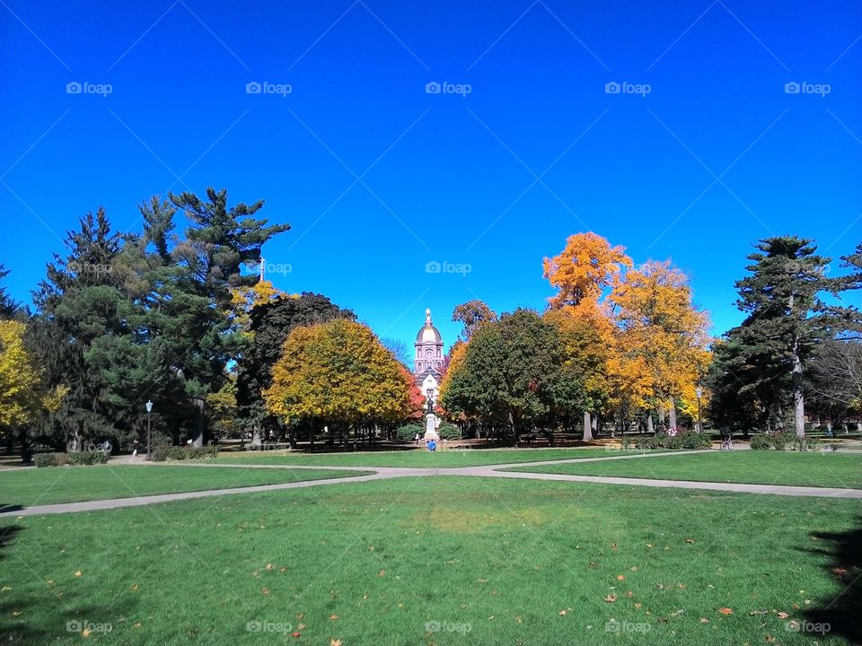 university of notre dame. open area