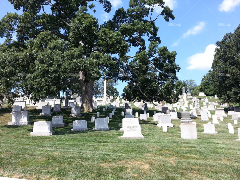 Graves at Arlington 1