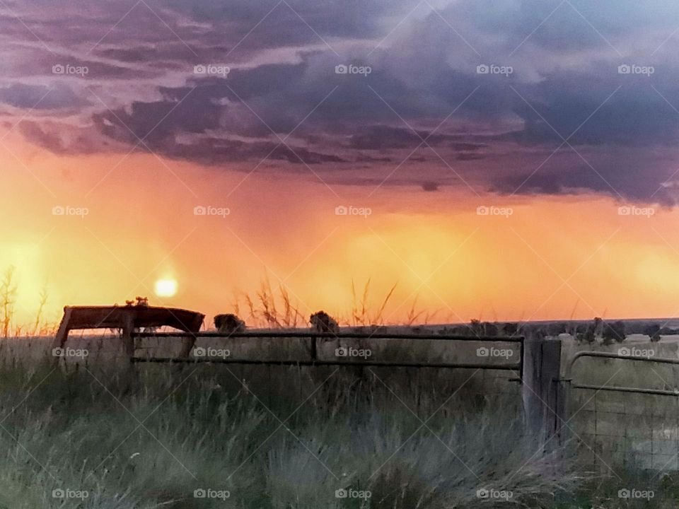 An afternoon storm coming on a rural property photograph taken into Tooraweenah New South Wales Australia