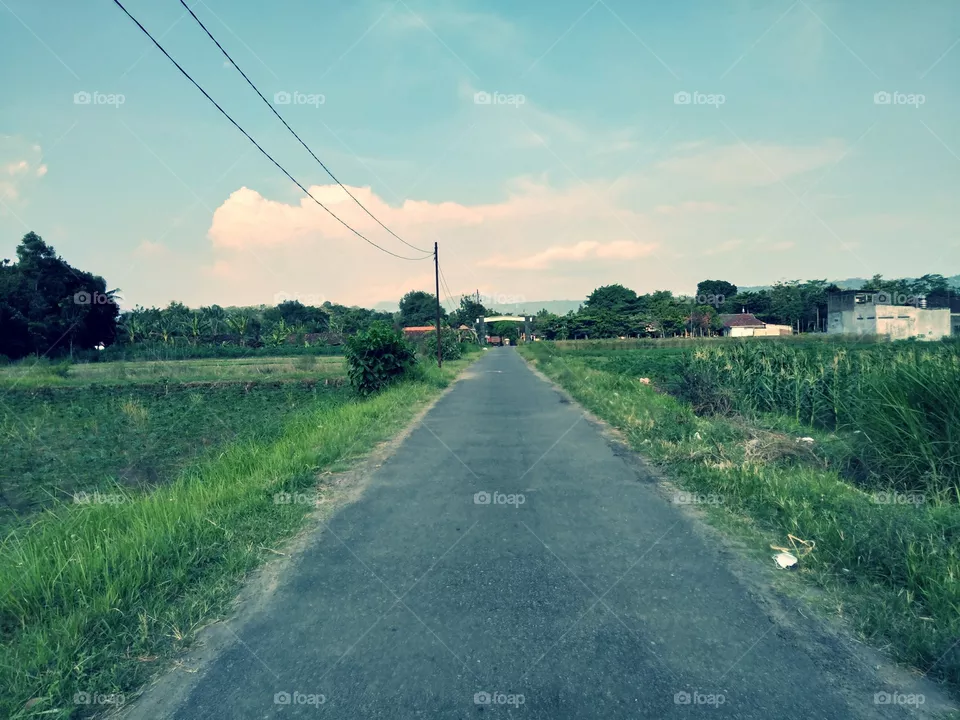 Road