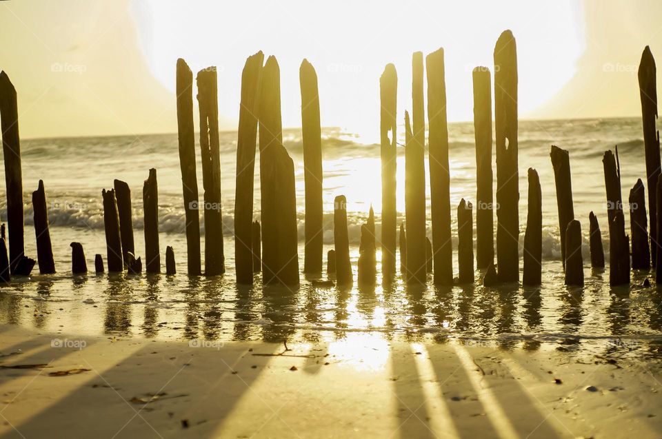 A big sunset through the wooden post of an old fish trap.