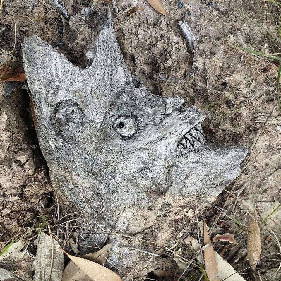 Drift wood with angry face