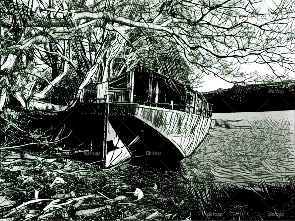 Shipwreck on the creek 