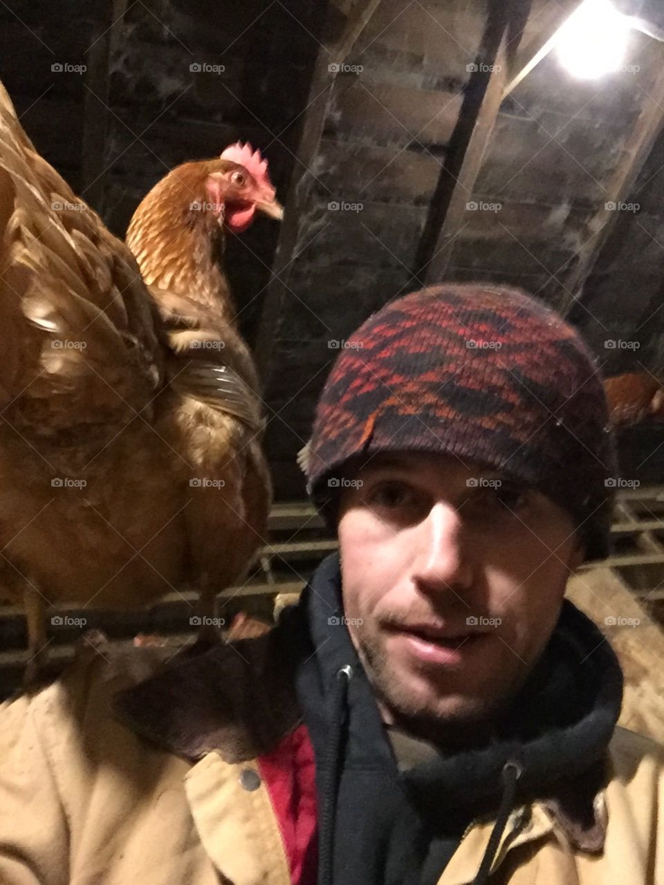 Pirates have parrots; farmers have....a chicken