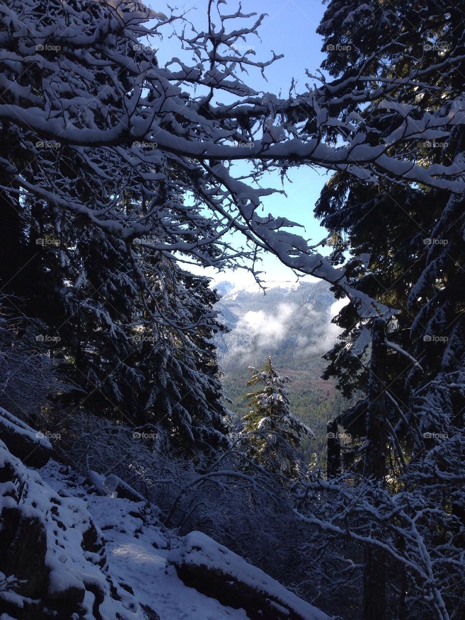 Framed winter