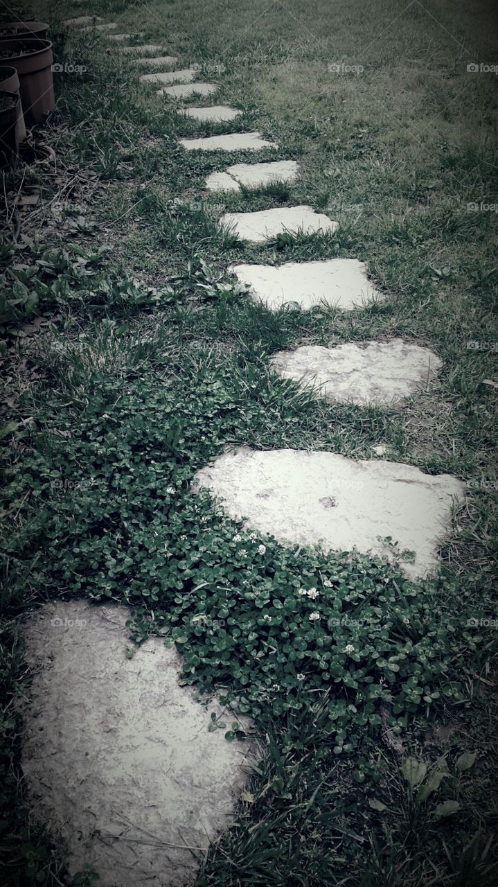 Flagstone Path. Walkway