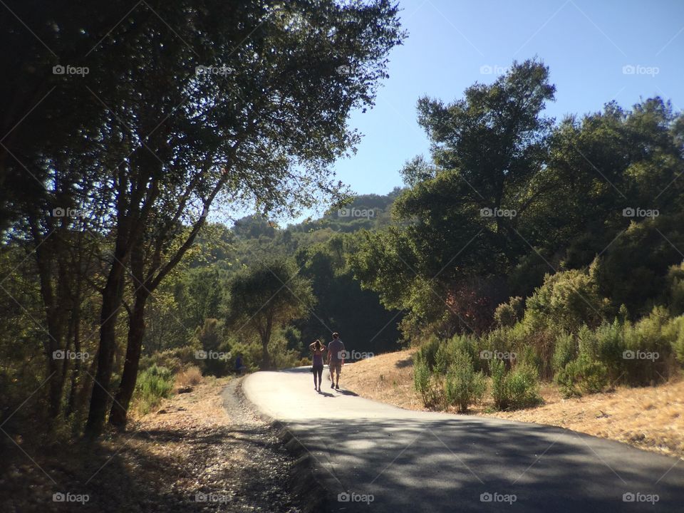 People walking in the park 