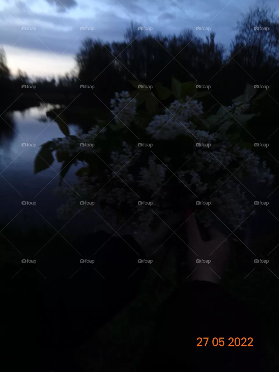 вечерняя прогулка у реки