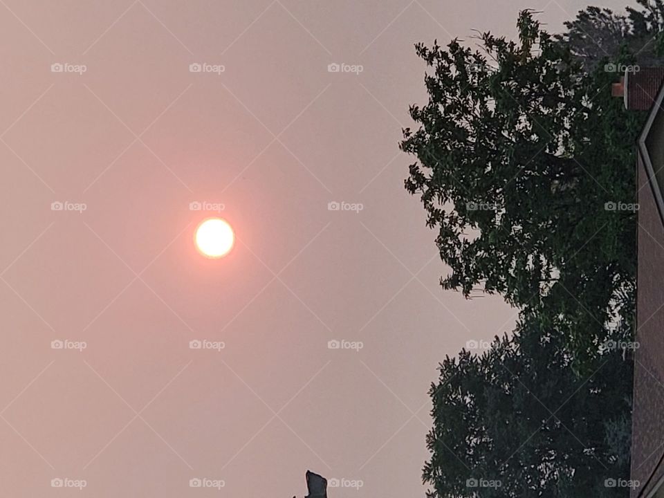 Red sun in smokey sky