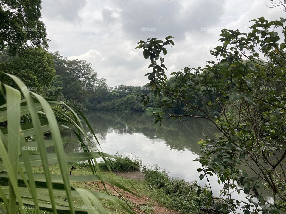 Nós estivemos passeando em São Paulo (Parque do Ibirapuera, capital paulista). Uma paisagem bonita no meio da Selva de Pedra.