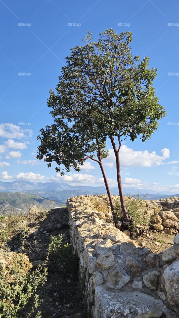 Ancient Walls, Endless Horizon