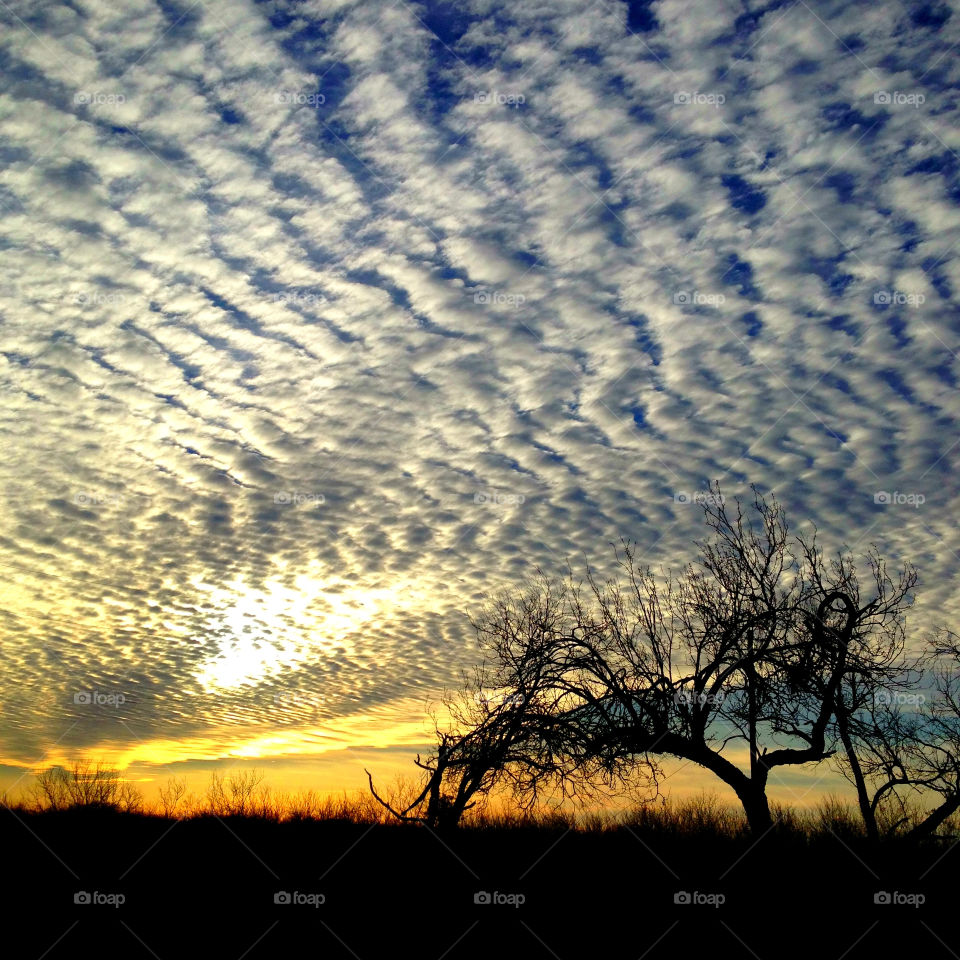 Beautiful Texas sky