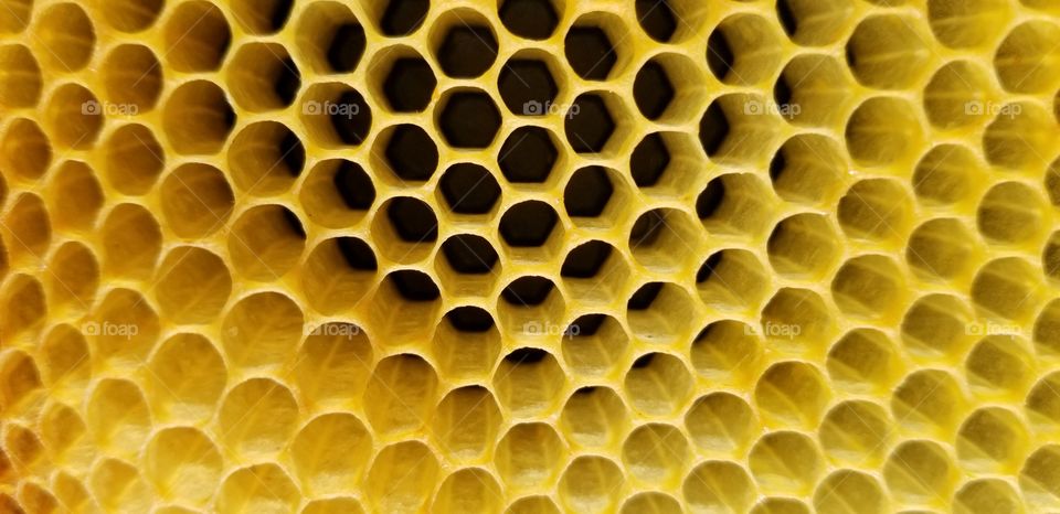 honeycomb box work