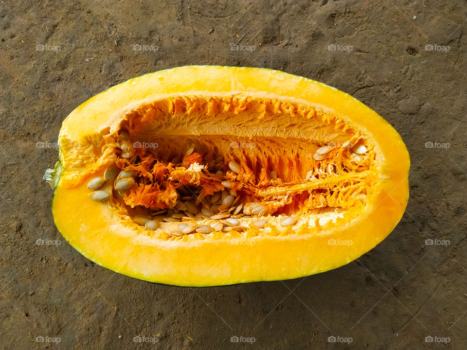 Cross section of a pumpkin on the ground.
