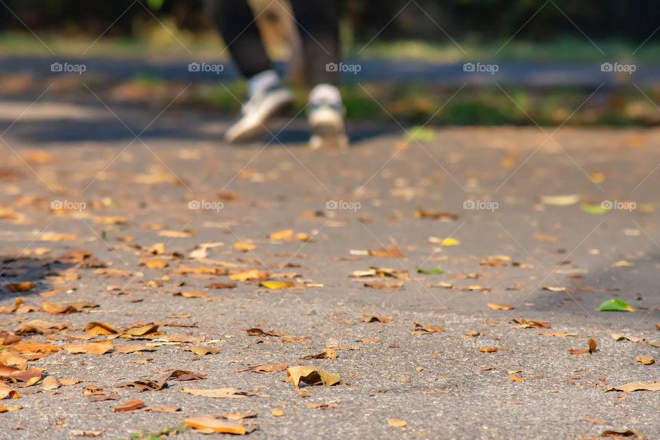 The leaves on the rubber asphalt for road running and blur leg runner exercise in park.