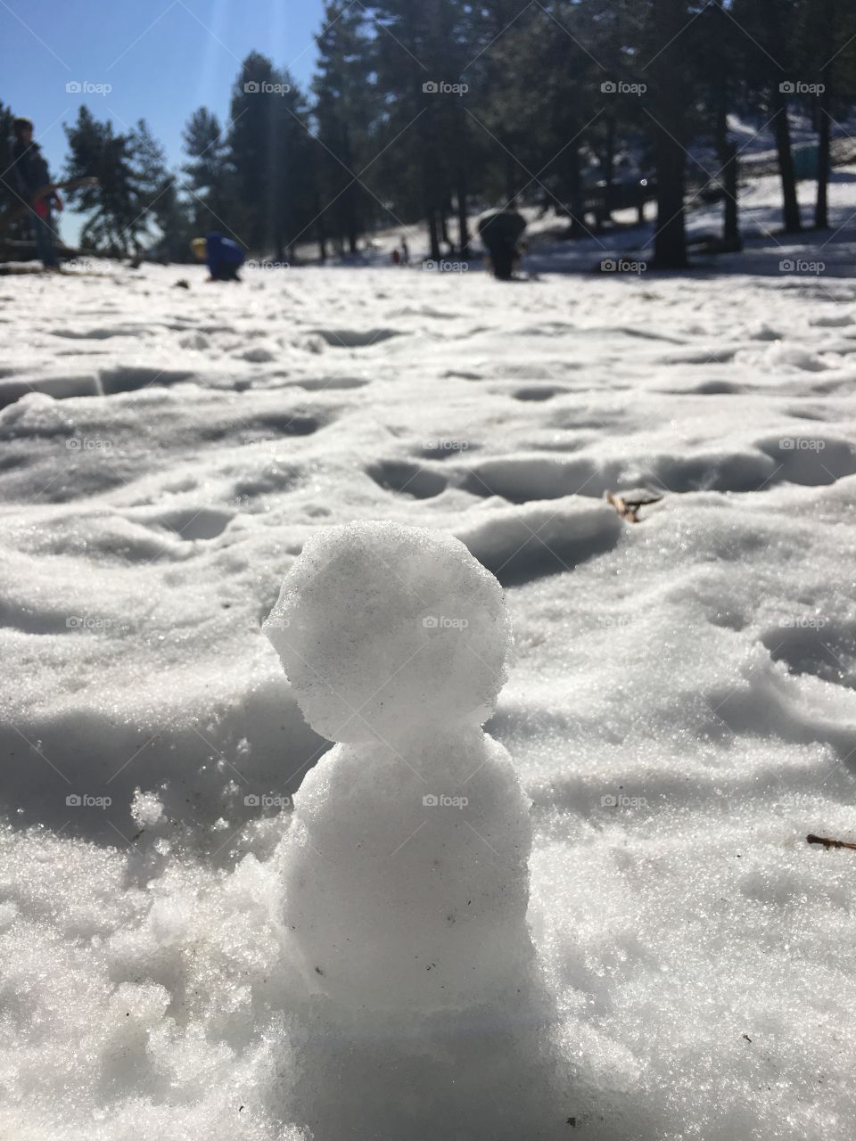 Snow at Mt. Laguna in San Diego, CA. My miniature snowman. 