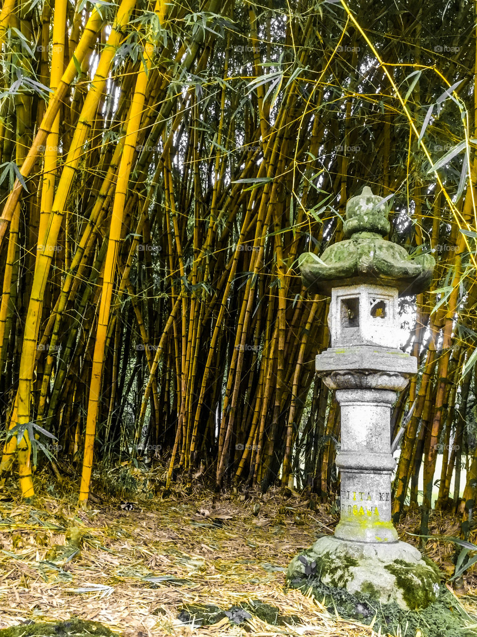 Statuary among the bamboo