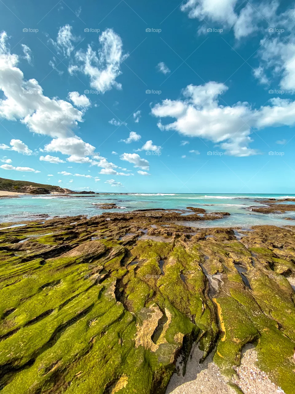Looking over the seaweed covered rocks onto the forever blue waters of a secret bay situated in the heart of South Africa