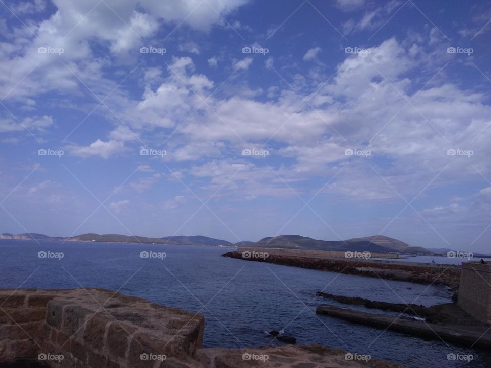 Best of 2021: Nature