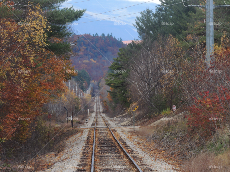 tracks white mountains conway nh. white mountains nh. by doro