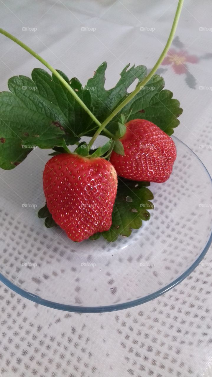 organic strawberry