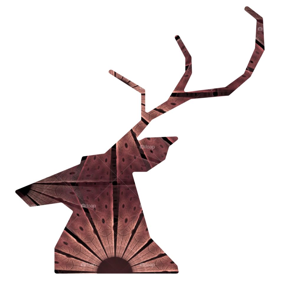 Deer—Sketching
