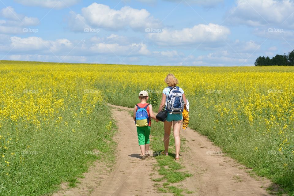 Landscape, Field, Summer, Flower, Outdoors