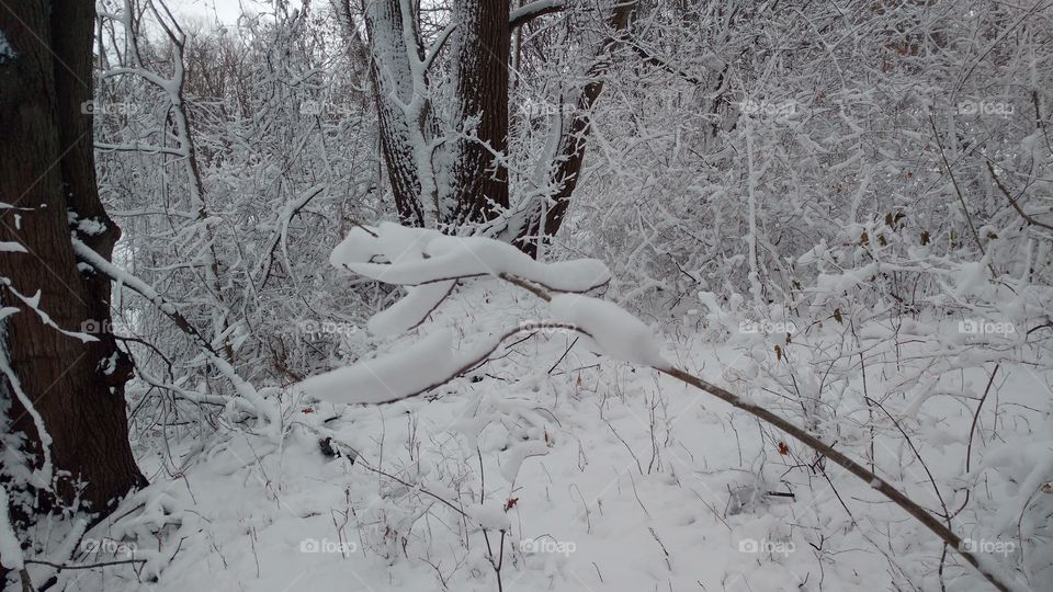 This was an odd shape of snow on a branch. It will fall with one touch.