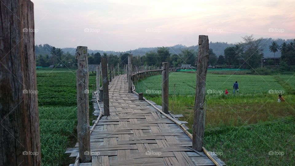 Bamboo bridge in Maehongson Thailand