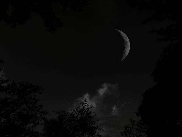 The beauty of the moon and sky
