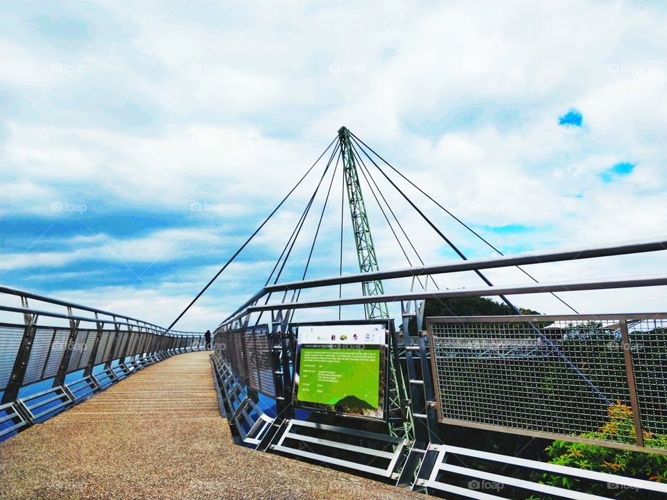 It is not so much for its beauty that the forest makes a claim upon men’s hearts, as for that subtle something, that quality of air that emanation from old trees, that so wonderfully changes and renews a weary spirit.