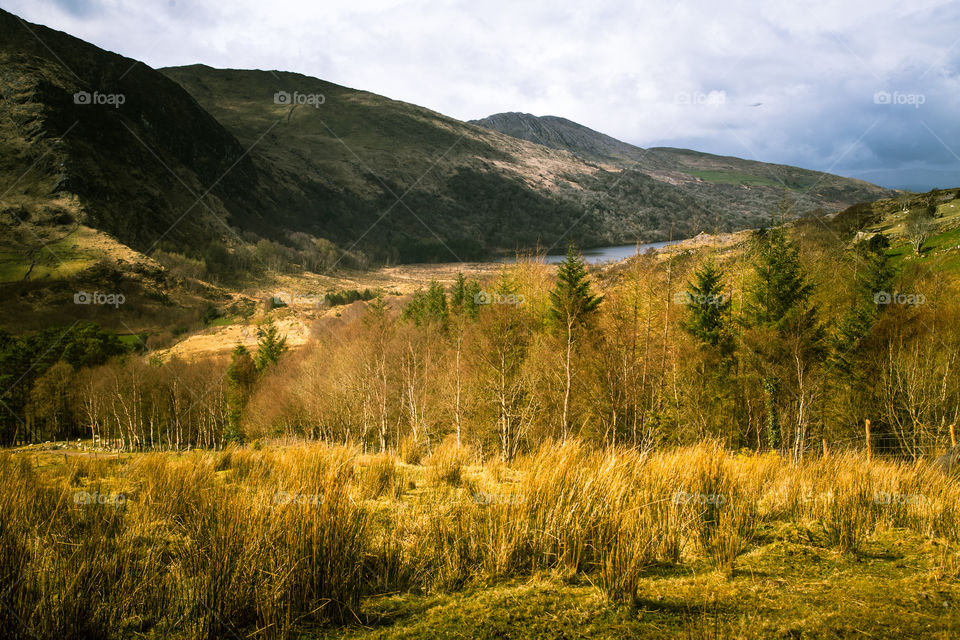 No Person, Landscape, Nature, Sky, Outdoors