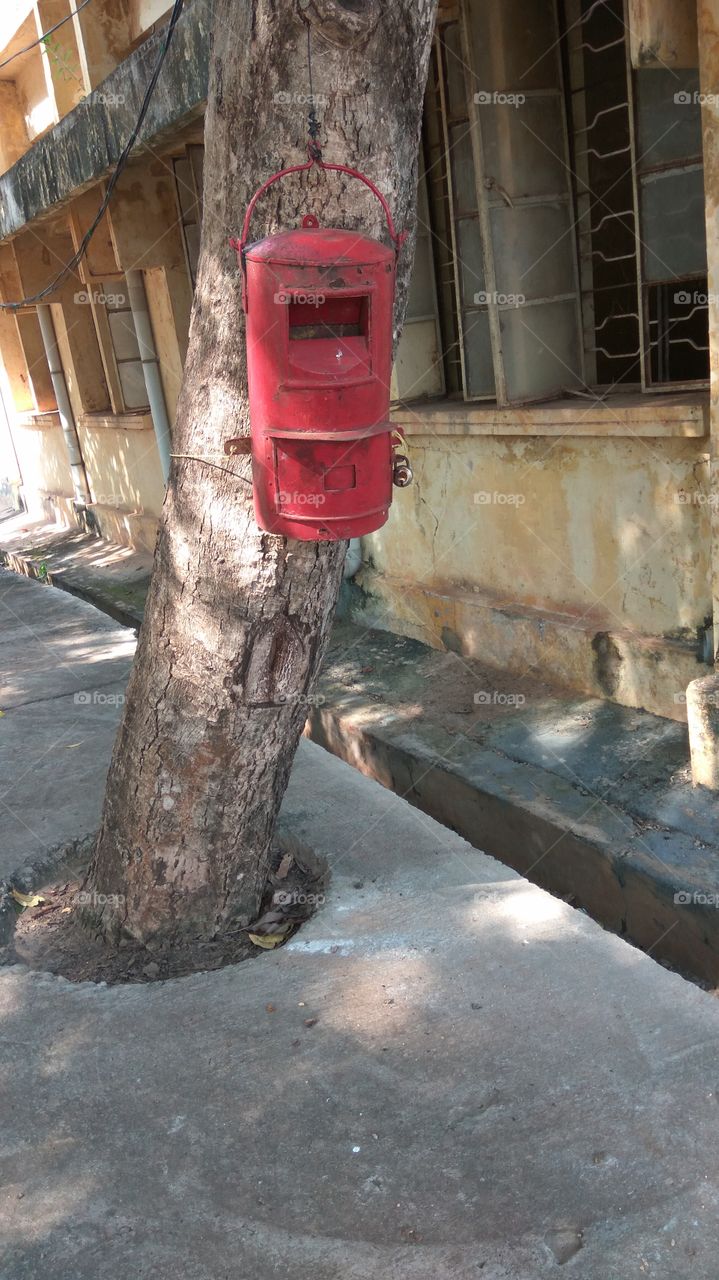 post box in tree