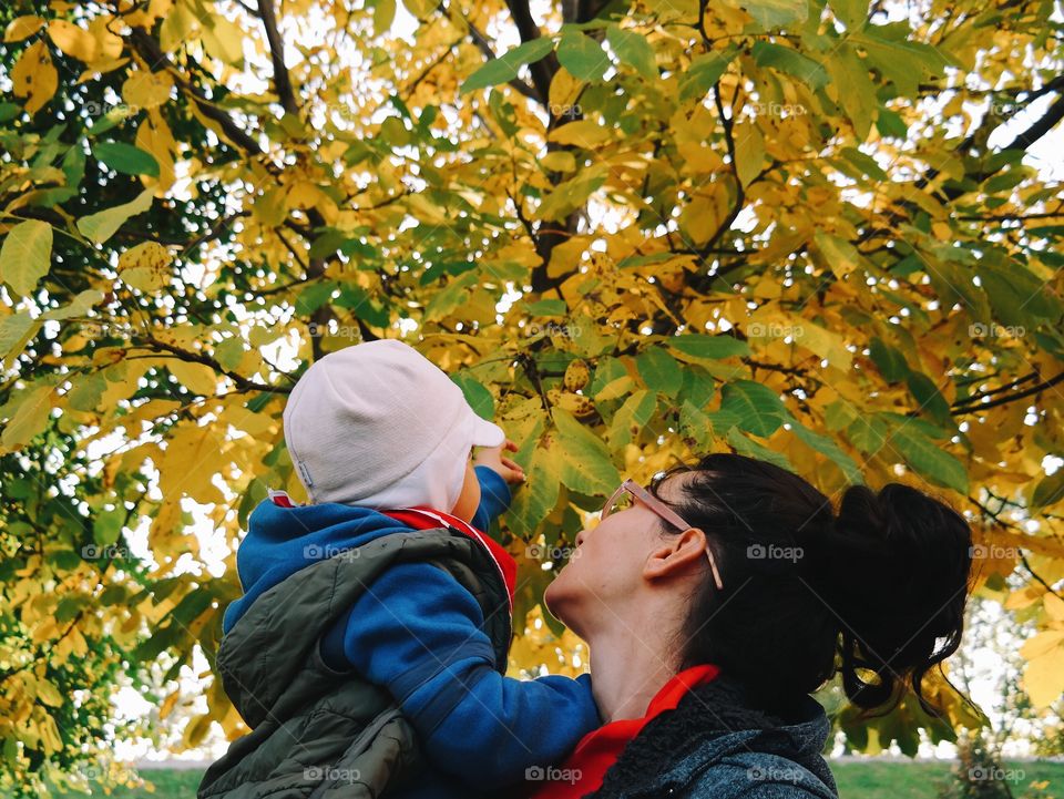 Childhood Tales: Autumn Touch. My kid is curious why leafs change their colors!