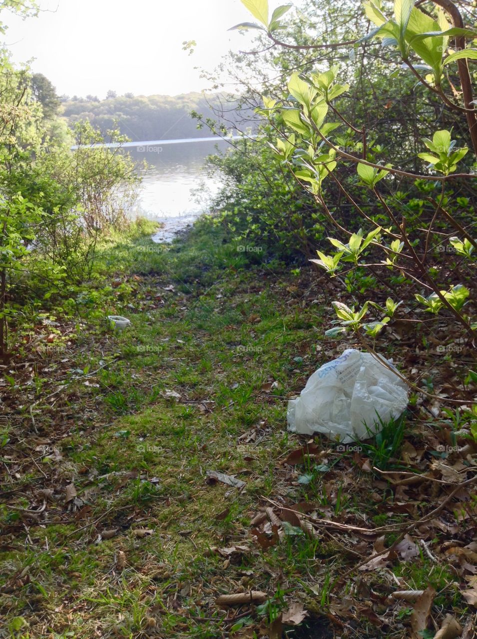Trash along a beach path. Plastic bag along the path to the beach