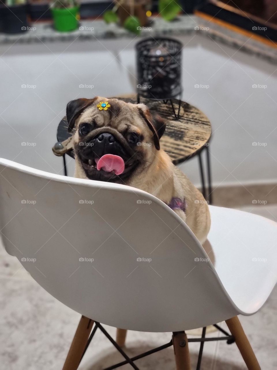 I love to sit in the chair and watch the street