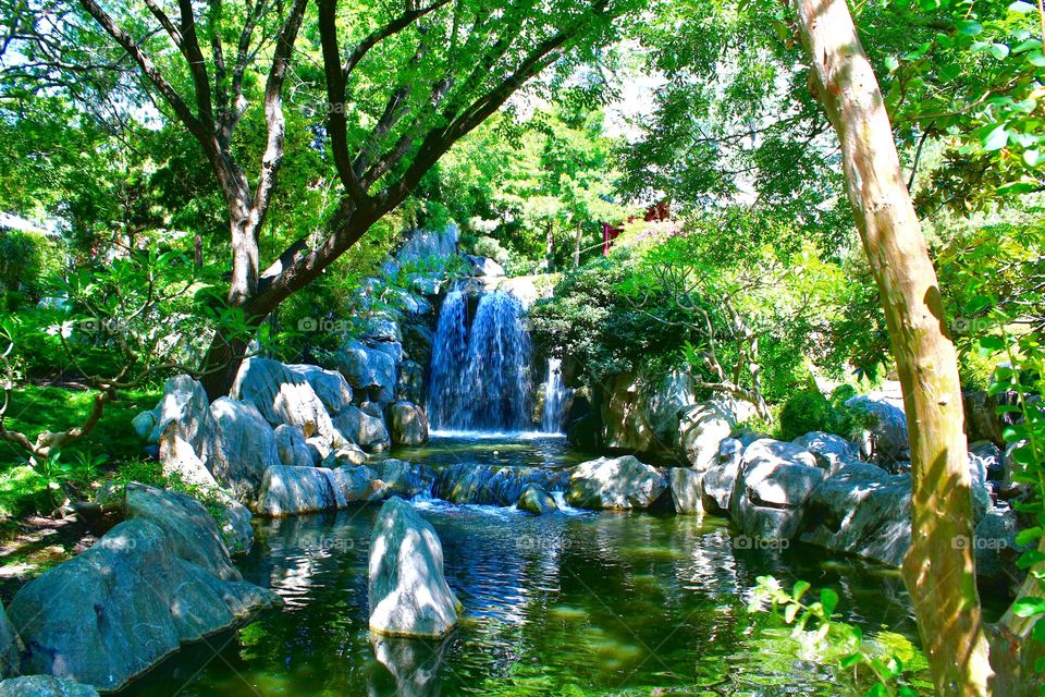 Waterfall, Chinese Gardens, Sydney Australia 