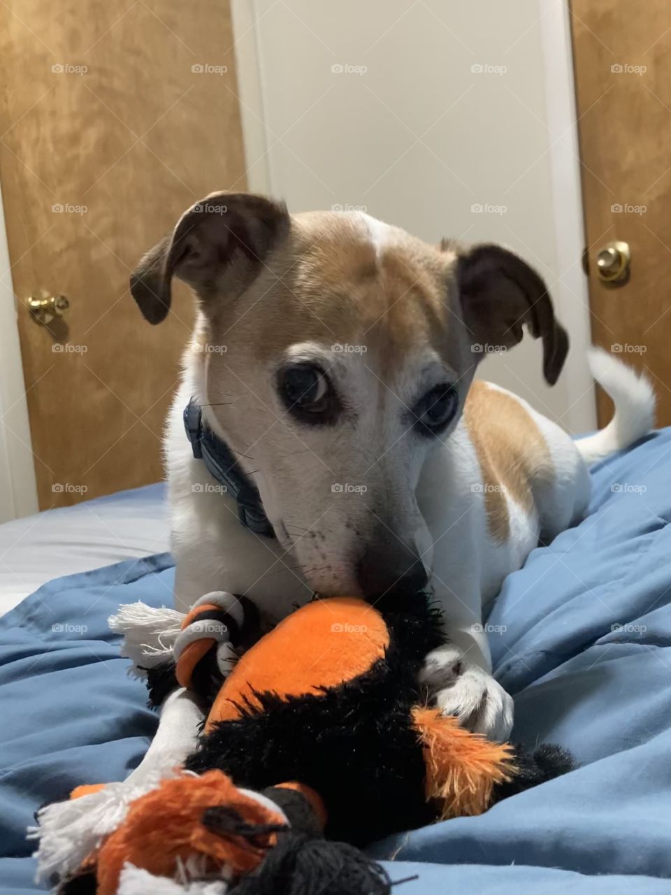 Whatcha lookin’ at?