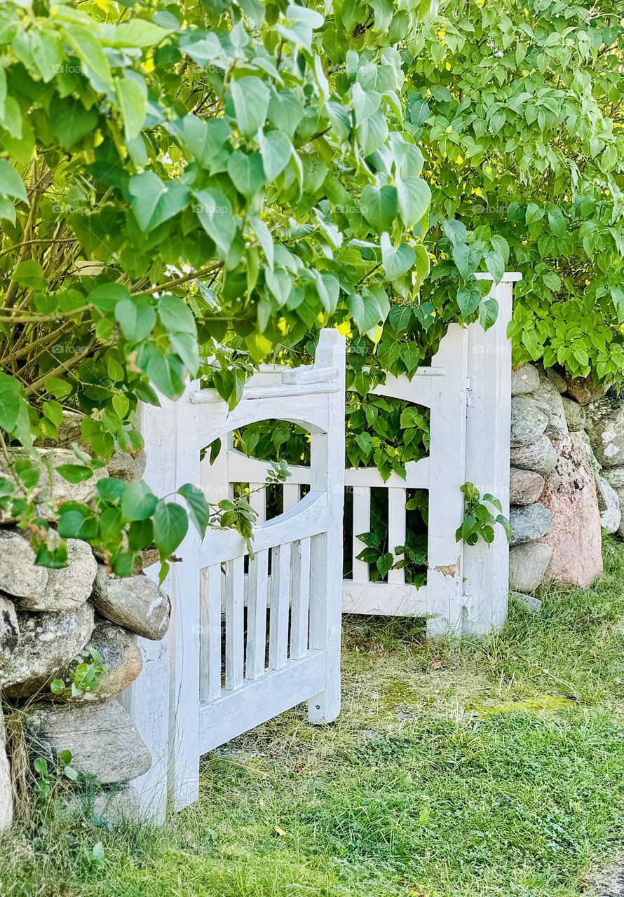 White wooden gate 