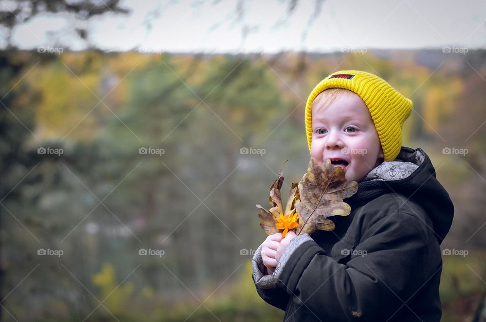 The boy collects yellow leaves in the autumn forest.
